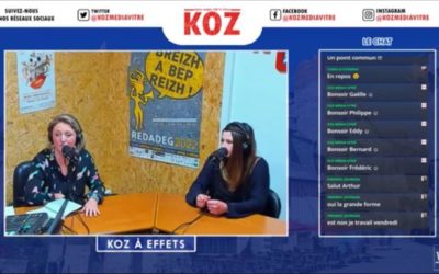 [Retour sur …] Le Web Live Radio avec Koz Média Vitré !